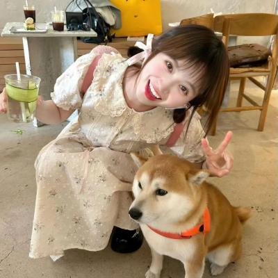 齐木楠雄的灾难第一季